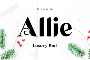 Allie Font for Modern Web Design
