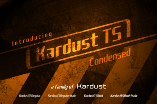 Kardust TS: A Bold Display Font for Modern Branding